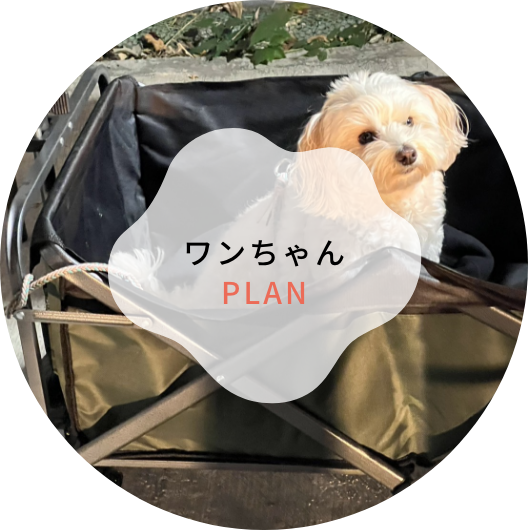 ワンちゃんプラン
